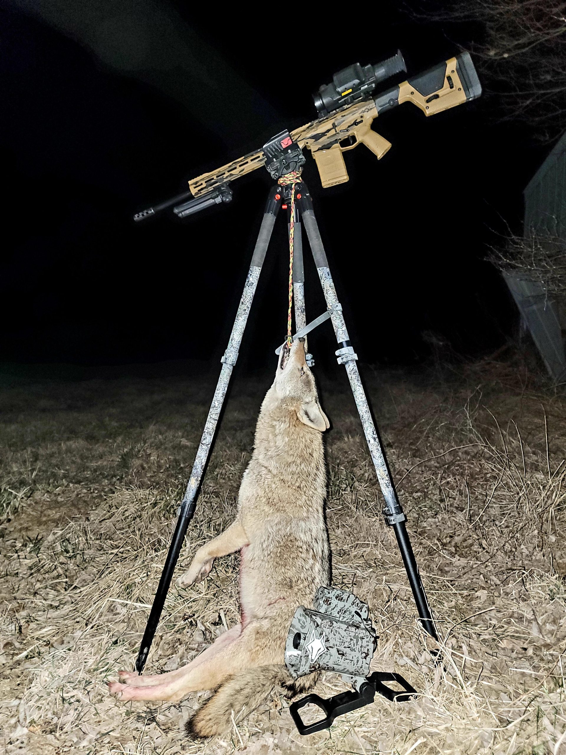 Image #1 from Matthew Fisher