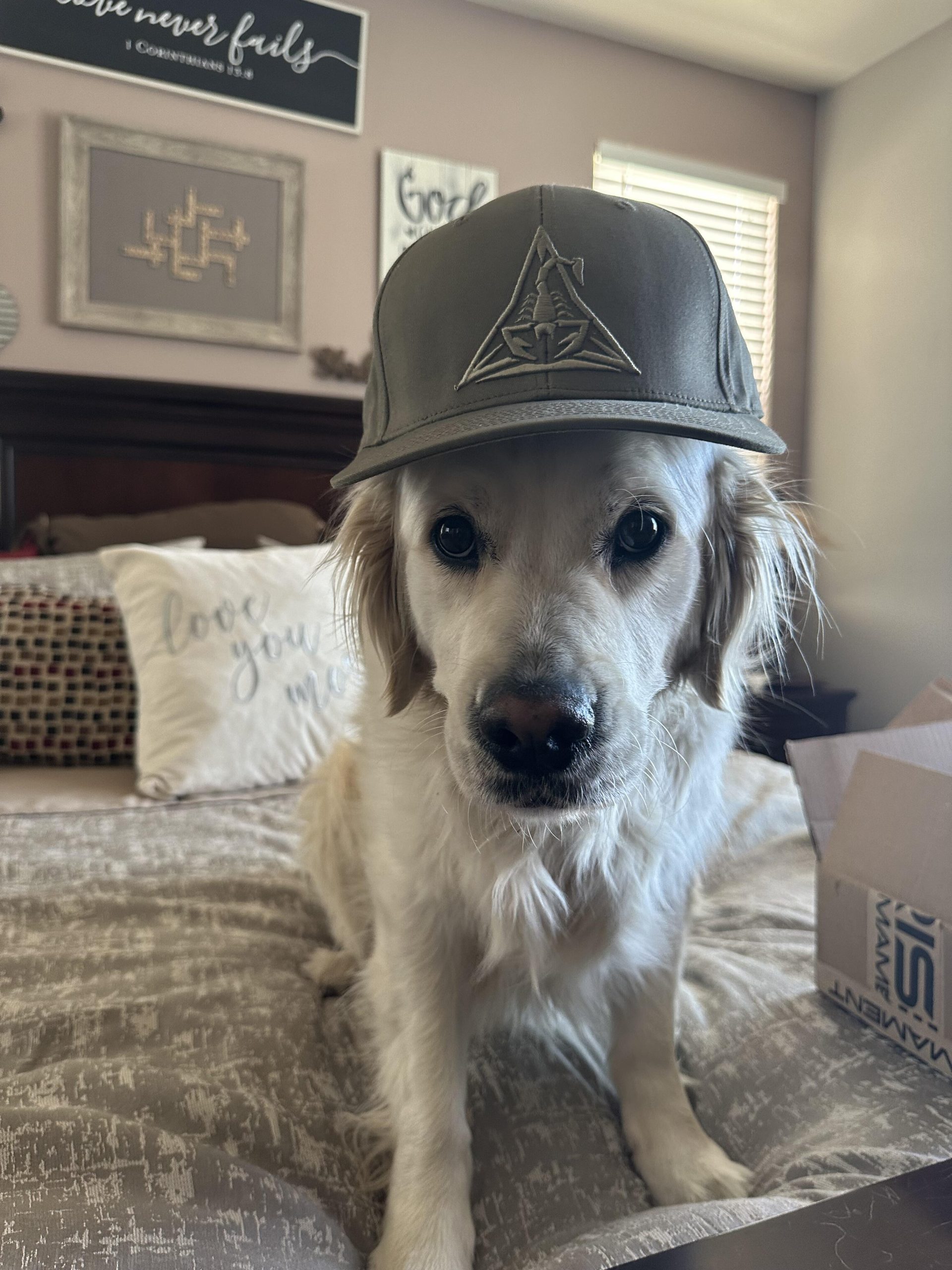 Image #1 from Michael Ochoa