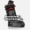 RISE Bronze Tier Surprise Stocking