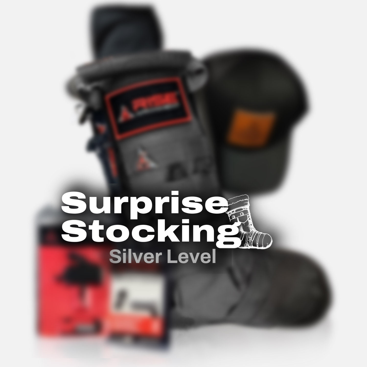 RISE Silver Tier Surprise Stocking