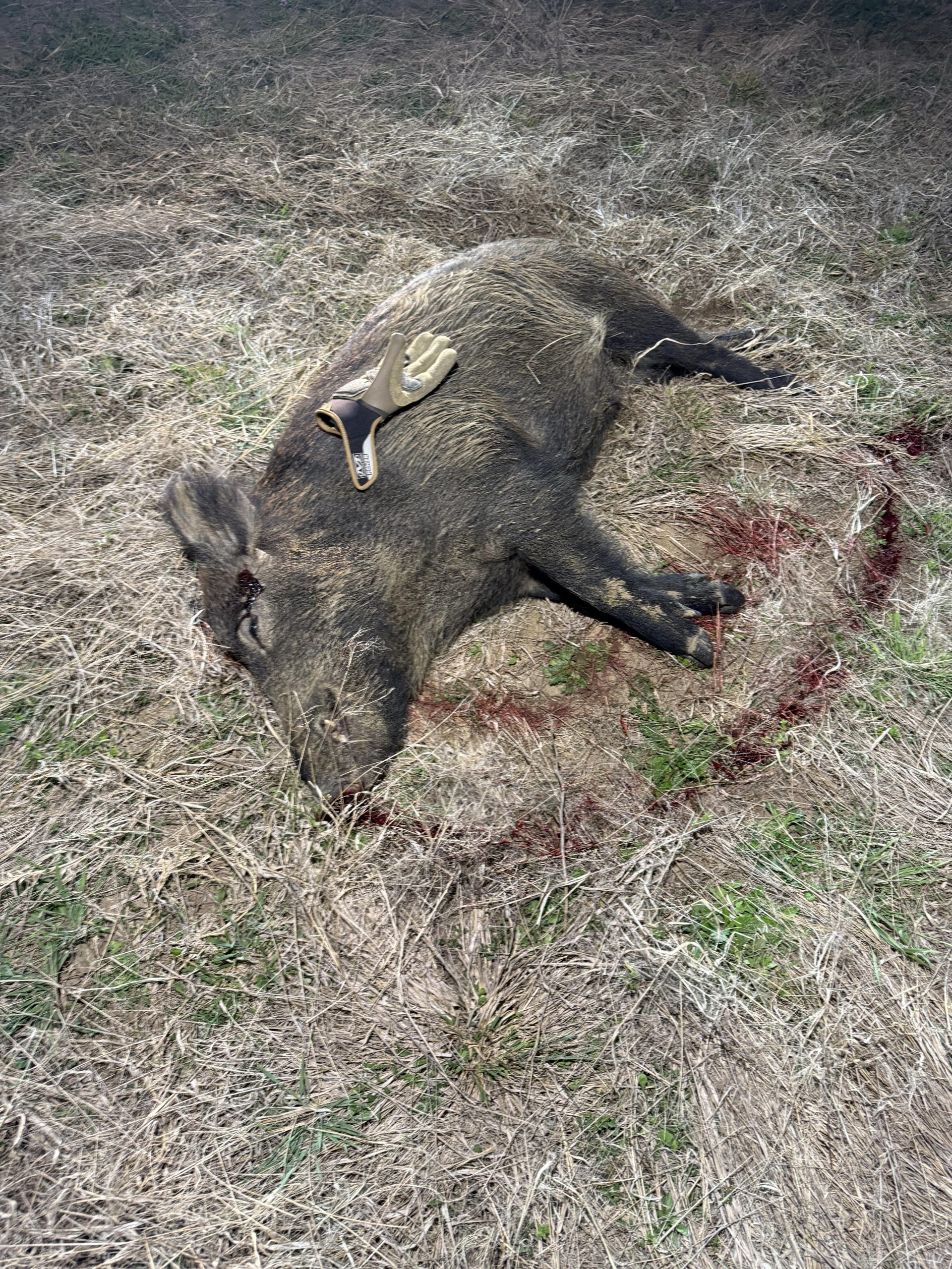 Image #3 from Ruben Flores