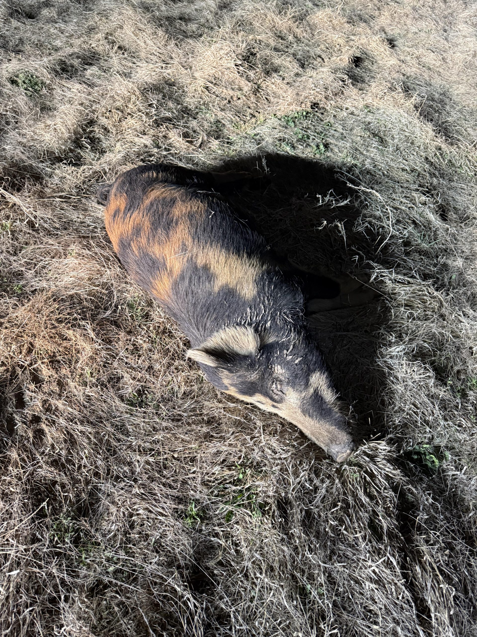 Image #4 from Ruben Flores